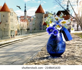  Tallinn old town hall square Estonia national flag symbols of a blue bouquet cornflower in blue vase  on street medieval houses roof  city panorama  blue sky