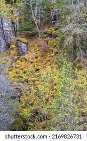 Talus Deposit At A Mountain Slope