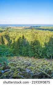 Talus Slope With Moss Covered Rocks By A Forest