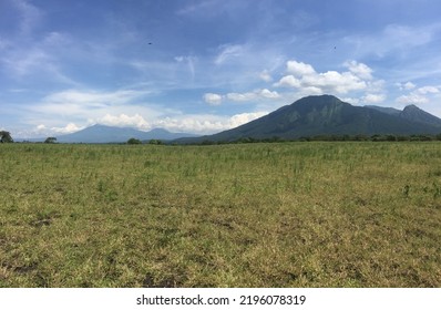 Taman Nasional Baluran, Banyuwangi, East Java, Indonesia