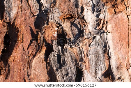 Tamarack Bark Closeup