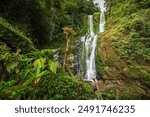 Tamaraw Falls near Puerto Galera, Philippines