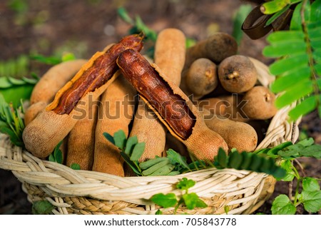 Tamarind
