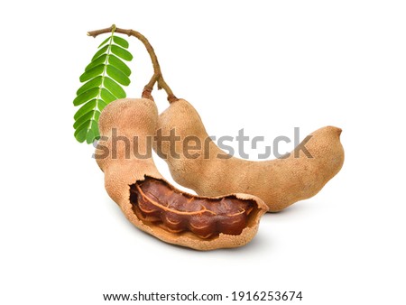 Tamarind fruits with green leaves isolated on white background.
