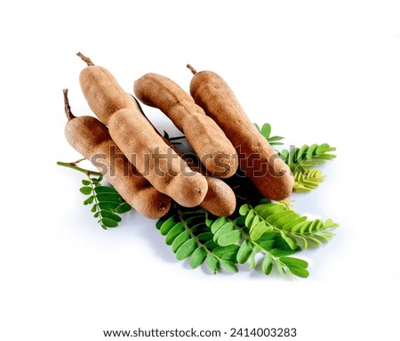 Tamarind Fruits with green Leaves isolated on white background