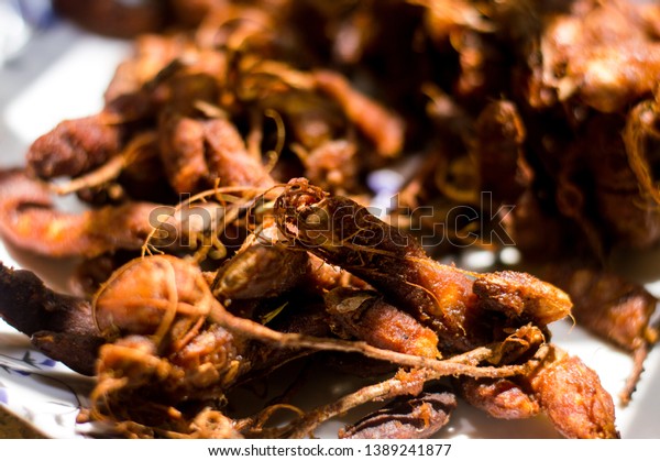 Tamarind Imli Amli Tetul On White Stock Photo Edit Now Tamarind Imli Amli Tetul On White Stock Photo Edit Now