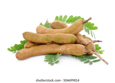 Tamarind Isolated On White Stock Photo 504699814 | Shutterstock