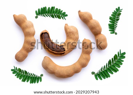 Tamarind (Tamarindus) fruit with green leaves isolated on white backgrund. Top view. Flat lay.