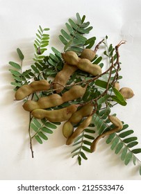 Tamarind (tamarindus Indica) Is A Fruit That Tastes Sour And Is Often Used As A Spice In Cooking Or Drinks