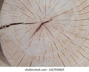 Tamarind Wood Chopping Block In Thailand