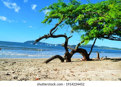 Tamarindo Beach In Costa Rica