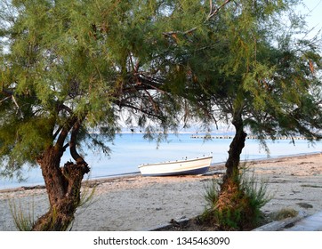 Tamarisk Trees On The Beach. Seascape Of Peraia Beach, Suburb Of Thessaloniki, Greece. 