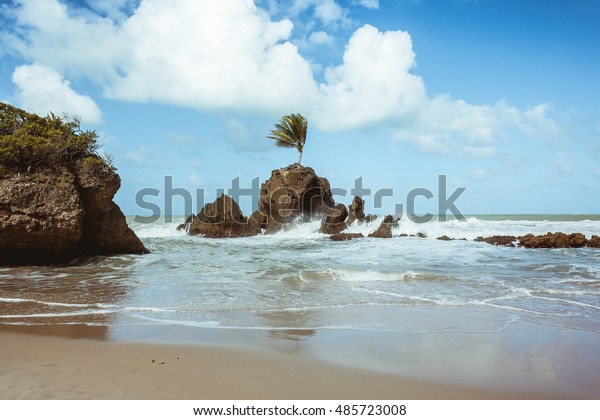 Tambaba Beach Official Naturistnudist Beach Brazil Stock Photo Shutterstock
