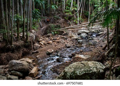 Tamborine Mountain Rocks