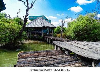 Tamilnadu Largest Mangrove Forest , Muthupettai Mangrove Forest , Lagoon 