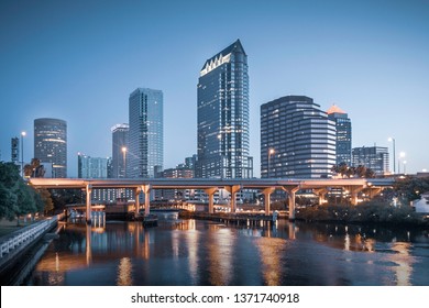 Tampa City Skyline