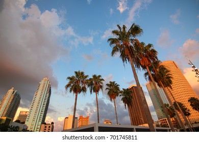 Tampa, FL - August 19, 2017: A View Of Tampa From The City's RiverWalk.