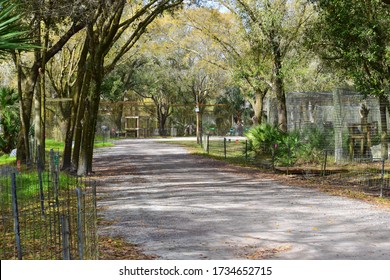 Tampa, FL - February 16, 2020: A Collection Of Cat Cages At The Big Cat Rescue, Run By Carole Baskin And Made Famous In Netflix's Tiger King. 