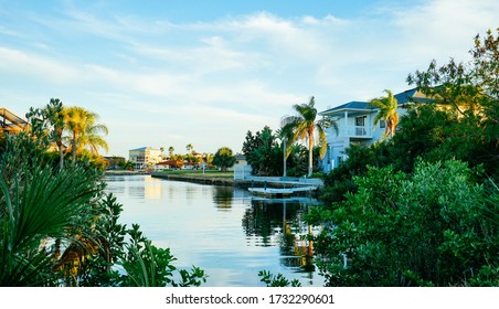 Tampa, FL / USA - 01 17 2016: Florida  House Landscape