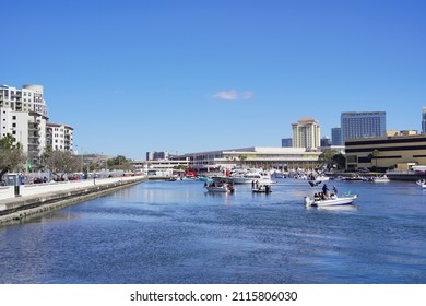 Tampa, FL USA - 01 29 2022: Gasparilla Pirate  Festival In Tampa Fl