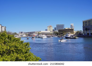 Tampa, FL USA - 01 29 2022: Gasparilla Pirate  Festival In Tampa Fl