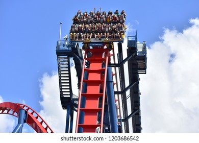 Tampa, Florida. October 06, 2018 .  Incredible  Sheikra Rollercoaster At Bush Gardens Theme Park.