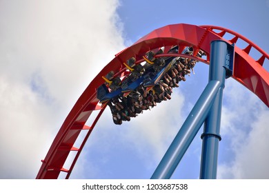 Tampa, Florida. October 06, 2018 . People Enjoying Amusement 70 Mph Sheikra Rollercoaster At  Bush Gardens Theme Park.