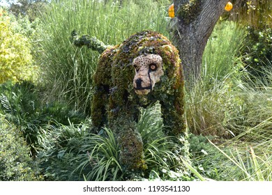 Tampa, Florida; September 29, 2018. Cheetah Designed With Plants At Bush Gardens Tampa Theme Park.