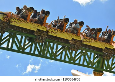 Tampa, Florida; September 29,2018. Amazing Cheetah Hunt Rollercoaster At Bush Gardens Theme Park.