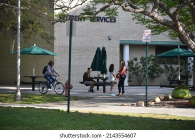 Tampa, Florida- United States- 03-24-2022: A Diverse Group Of Students On The Campus Of USF. 