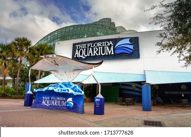 Tampa, Florida, USA - January 11, 2020 : Larga manta ray sculpture at the entrance to the Florida Aquarium, home to more than 7,000 aquatic plants and animals from Florida and all over the world.