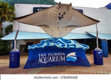 Tampa, Florida, USA - January 11, 2020 : Larga Manta Ray Sculpture At The Entrance To The Florida Aquarium, Home To More Than 7,000 Aquatic Plants And Animals From Florida And All Over The World.