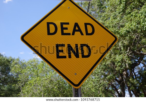 Tampa, Florida\
/ USA - May 5 2018:  Dead End\
Sign