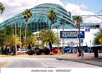 Tampa, USA - April 27, 2018: Downtown city in Florida and sign on modern building exterior for aquarium with street road and palm trees