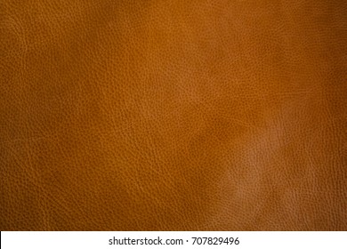 Tan Leather Texture