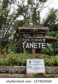 TANA TORAJA, INDONESIA - 27 November 2019; TENETE Baby Grave Tour. A Baby Burial Place For The Toraja Tribe In South Sulawesi