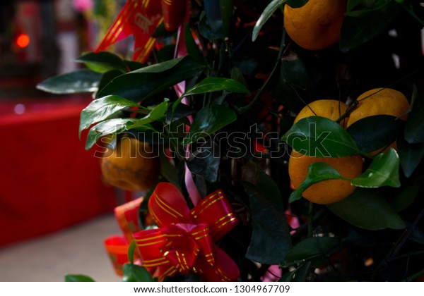 Tangerine Orange Fruit Tree Inside Chinese Stock Photo Edit Now