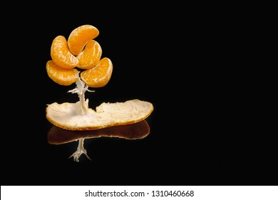 Tangerine tree. Creative concept. Flat layer