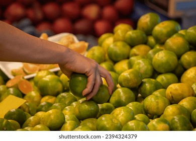 Tangerines in the market. The seller who buys tangerines from the counter.​ - Shutterstock ID 2394324379