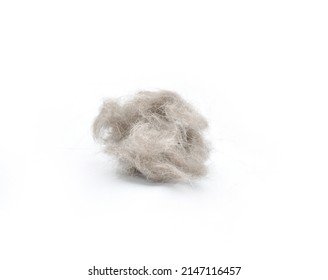 Tangle Of Cat Hair On A White Background