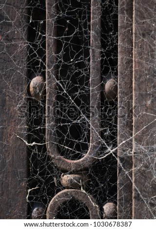 Similar – Image, Stock Photo neighbouring garden