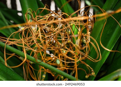 Tangle of copper cables on a green background.