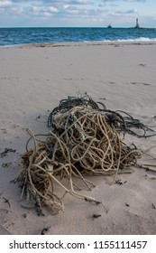 a tangle of rope washed ashore