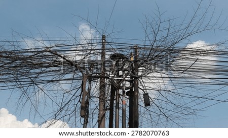 Tangled Cables and Dry Tree Branches in Urban Areas 2026
A messy network of overhead power and telecommunication cables cluttered with dry tree branches against a cloudy sky. This image highlights urban infrastructure issues, public safety hazards, and the lack of maintenance in city utility systems.