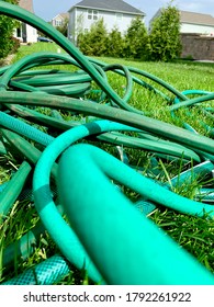 Tangled Green Hose In Grass Closeup