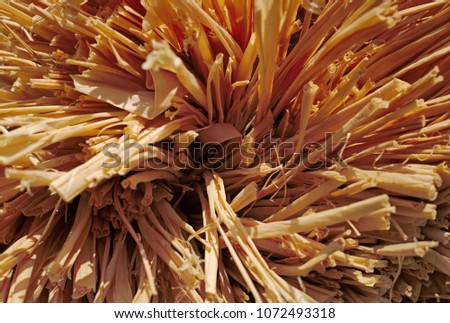 Tangled rafia palm fibers texture background Foto d'archivio © 