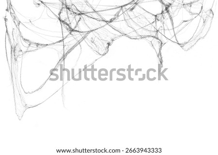 Tangled spider's web on isolated white background for Halloween design. Black cobweb for applying in multiply blend mode on any concept