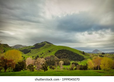 Tangowahine In Northland, New Zealand