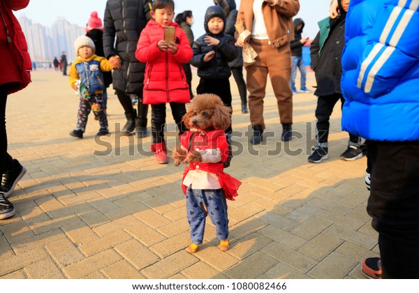 Woman in Tangshan