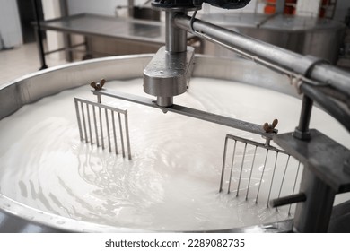 Tank full of milk in a cheese factory. Parmesan cheese production in Italy. The concept of modern production of high-quality food concept - Shutterstock ID 2289082735